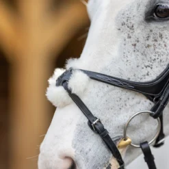 Hoofdstel LeMieux Competition Flash Zwart -Ruiter Hoek Verkoopwinkel hoofdstel lemieux competition flash zwart 1500x1500 163685