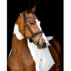 Hoofdstel Montar Fair Zwart -Ruiter Hoek Verkoopwinkel hoofdstel montar fair zwart 1500x1500 157931