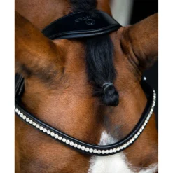 Hoofdstel Montar Fair Zwart -Ruiter Hoek Verkoopwinkel hoofdstel montar fair zwart 1500x1500 157932