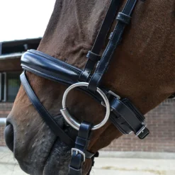 Hoofdstel Montar Fair Zwart -Ruiter Hoek Verkoopwinkel hoofdstel montar fair zwart 1500x1500 157934