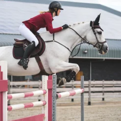 Hoofdstel PresTeq Fay Sport Bruin -Ruiter Hoek Verkoopwinkel hoofdstel presteq fay sport bruin 1500x1500 122738