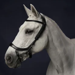 Hoofdstel PresTeq Fay Sport Zwart