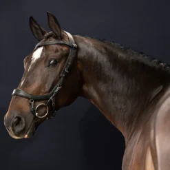 Hoofdstel PresTeq Fay Sport Zwart -Ruiter Hoek Verkoopwinkel hoofdstel presteq fay sport zwart 1500x1500 122734