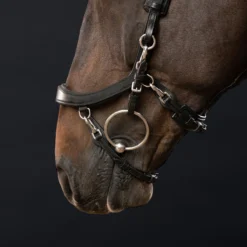 Hoofdstel PresTeq Fay Sport Zwart -Ruiter Hoek Verkoopwinkel hoofdstel presteq fay sport zwart 1500x1500 122735