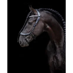 Hoofdstel PresTeq FaySport Glitter Zwart -Ruiter Hoek Verkoopwinkel hoofdstel presteq faysport glitter zwart 1500x1500 182055