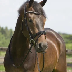 Hoofdstel QHP Amor Zwart-roze -Ruiter Hoek Verkoopwinkel hoofdstel qhp amor zwart roze 1500x1500 114888