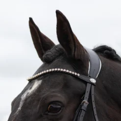 Hoofdstel QHP Nehza Zwart-wit -Ruiter Hoek Verkoopwinkel hoofdstel qhp nehza zwart wit 1500x1500 139588