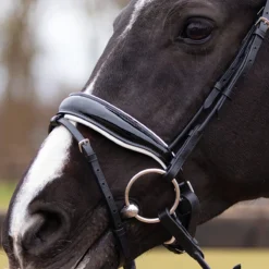 Hoofdstel QHP Nehza Zwart-wit -Ruiter Hoek Verkoopwinkel hoofdstel qhp nehza zwart wit 1500x1500 139589