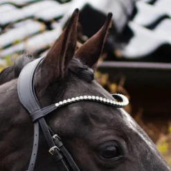 Hoofdstel QHP Nehza Zwart -Ruiter Hoek Verkoopwinkel hoofdstel qhp nehza zwart 1500x1500 139580