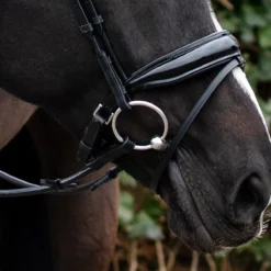 Hoofdstel QHP Nehza Zwart -Ruiter Hoek Verkoopwinkel hoofdstel qhp nehza zwart 1500x1500 139581