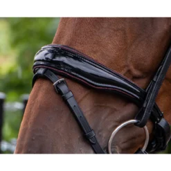 Hoofdstel QHP Orlando Zwart-rood -Ruiter Hoek Verkoopwinkel hoofdstel qhp orlando zwart rood 1500x1500 148537