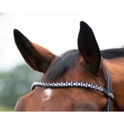 Hoofdstel QHP Orlando Zwart -Ruiter Hoek Verkoopwinkel hoofdstel qhp orlando zwart 1500x1500 148521