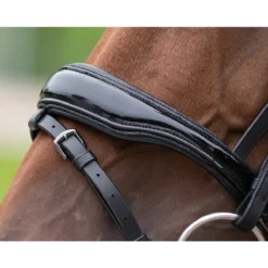 Hoofdstel QHP Orlando Zwart -Ruiter Hoek Verkoopwinkel hoofdstel qhp orlando zwart 1500x1500 148522