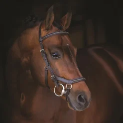 Hoofdstel Rambo Micklem Deluxe Donkerbruin -Ruiter Hoek Verkoopwinkel hoofdstel rambo micklem deluxe donkerbruin 1500x1500 114179