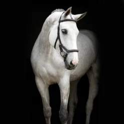 Hoofdstel Rambo Micklem Deluxe Donkerbruin -Ruiter Hoek Verkoopwinkel hoofdstel rambo micklem deluxe donkerbruin 1500x1500 114180