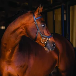 Hoofdstel Rambo Micklem Multi Bridle Zwart -Ruiter Hoek Verkoopwinkel hoofdstel rambo micklem multi bridle zwart 1500x1500 108436