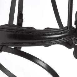 Hoofdstel Schockemöhle Brantford Zwart-zilver -Ruiter Hoek Verkoopwinkel hoofdstel schockemohle brantford zwart zilver 1500x1500 145722