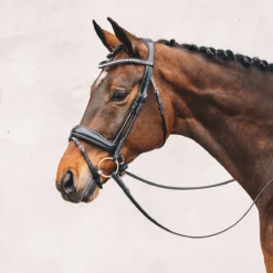 Hoofdstel Schockemöhle Malibu Zwart-zilver -Ruiter Hoek Verkoopwinkel hoofdstel schockemohle malibu zwart zilver 1500x1500 98862