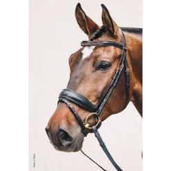 Hoofdstel Schockemöhle Stanford S Zwart-goud -Ruiter Hoek Verkoopwinkel hoofdstel schockemohle stanford s zwart goud 1500x1500 118181