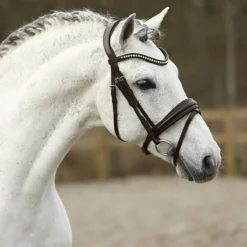 Hoofdstel SKØL Dyrt Donkerbruin -Ruiter Hoek Verkoopwinkel hoofdstel skol dyrt donkerbruin 1500x1500 184686