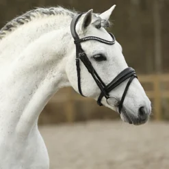 Hoofdstel SKØL Dyrt Zwart -Ruiter Hoek Verkoopwinkel hoofdstel skol dyrt zwart 1500x1500 183683