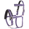 Kaptoom Imperial Riding Paars -Ruiter Hoek Verkoopwinkel kaptoom imperial riding paars 1500x1500 146407