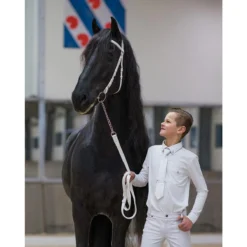 Keuringshoofdstel QHP Classic Wit -Ruiter Hoek Verkoopwinkel keuringshoofdstel qhp classic wit 1500x1500 108290