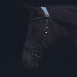 Kopstuk PresTeq FaySport Zwart -Ruiter Hoek Verkoopwinkel kopstuk presteq faysport zwart 1500x1500 130558