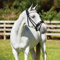 Kopstuk WeatherBeeta Therapy-Tec Anatomical Zwart-rood -Ruiter Hoek Verkoopwinkel kopstuk weatherbeeta therapy tec anatomical zwart rood 1500x1500 137115