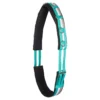 Longeersingel Imperial Riding Neon Turquoise -Ruiter Hoek Verkoopwinkel longeersingel imperial riding neon turquoise 1500x1500 106752