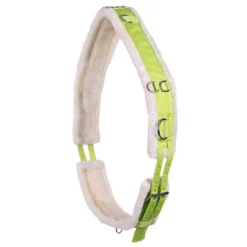 Longeersingel QHP Ontario Lichtgroen