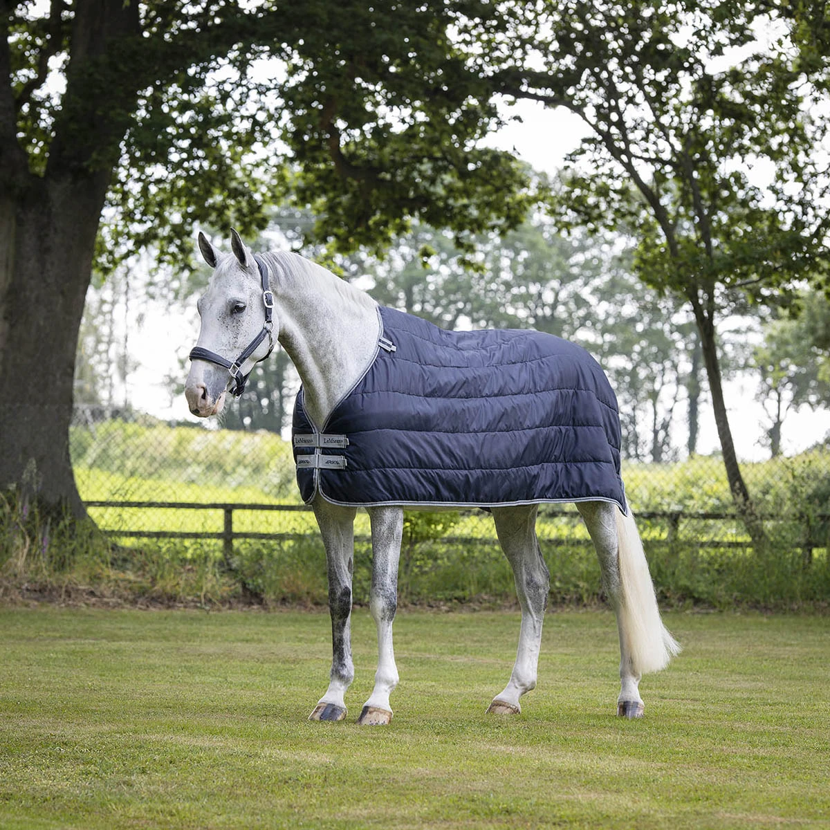 Onderdeken LeMieux Arika 200gr Donkerblauw 5 Onderdeken LeMieux Arika 200gr Donkerblauw - Afbeelding 3