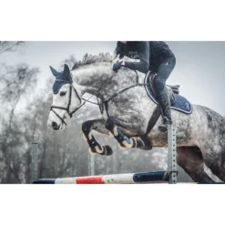 Oornetje Epplejeck Glitter Donkerblauw -Ruiter Hoek Verkoopwinkel oornetje epplejeck glitter donkerblauw 1500x1500 110446