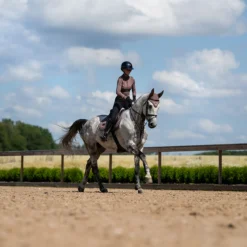 Oornetje Equestrian Stockholm Amaranth Bruin -Ruiter Hoek Verkoopwinkel oornetje equestrian stockholm amaranth bruin 1500x1500 165038