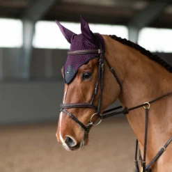 Oornetje Equestrian Stockholm Black Raven Paars -Ruiter Hoek Verkoopwinkel oornetje equestrian stockholm black raven paars 1500x1500 179384