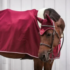 Oornetje Equestrian Stockholm Bordeaux Donkerrood -Ruiter Hoek Verkoopwinkel oornetje equestrian stockholm bordeaux donkerrood 1500x1500 147639
