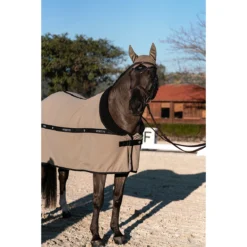 Oornetje Equestrian Stockholm Chantelle Lichtbruin -Ruiter Hoek Verkoopwinkel oornetje equestrian stockholm chantelle lichtbruin 1500x1500 153781