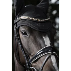 Oornetje Eskadron Essence Dyn Air Mesh Zwart -Ruiter Hoek Verkoopwinkel oornetje eskadron essence dyn air mesh zwart 1500x1500 171528