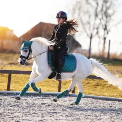 Oornetje Horsegear Aurum Groen -Ruiter Hoek Verkoopwinkel oornetje horsegear aurum groen 1500x1500 139090
