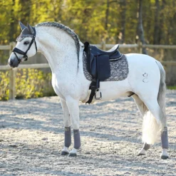 Oornetje Horsegear HGVelvet Dapple Grijs -Ruiter Hoek Verkoopwinkel oornetje horsegear hgvelvet dapple grijs 1500x1500 185468