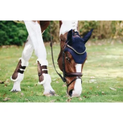 Oornetje Kentucky Wellington Donkerblauw -Ruiter Hoek Verkoopwinkel oornetje kentucky wellington donkerblauw 1500x1500 137711