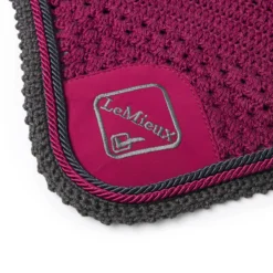 Oornetje LeMieux Classic Rood-grijs -Ruiter Hoek Verkoopwinkel oornetje lemieux classic rood grijs 1500x1500 169803