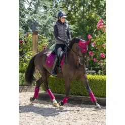 Oornetje LeMieux Loire Donkerrood -Ruiter Hoek Verkoopwinkel oornetje lemieux loire donkerrood 1500x1500 122976