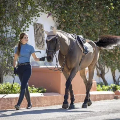 Oornetje LeMieux Loire Zwart -Ruiter Hoek Verkoopwinkel oornetje lemieux loire zwart 1500x1500 122966