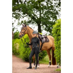 Oornetje LeMieux Puissance Bruin -Ruiter Hoek Verkoopwinkel oornetje lemieux puissance bruin 1500x1500 187554