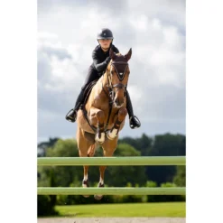 Oornetje LeMieux Puissance Bruin -Ruiter Hoek Verkoopwinkel oornetje lemieux puissance bruin 1500x1500 187556