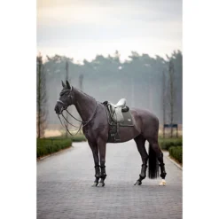 Oornetje LeMieux Puissance Zwart -Ruiter Hoek Verkoopwinkel oornetje lemieux puissance zwart 1500x1500 187551