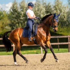 Oornetje PresTeq PerformNow Donkerblauw -Ruiter Hoek Verkoopwinkel oornetje presteq performnow donkerblauw 1500x1500 184077