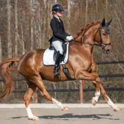 Oornetje PresTeq PerformNow Zwart -Ruiter Hoek Verkoopwinkel oornetje presteq performnow zwart 1500x1500 184072