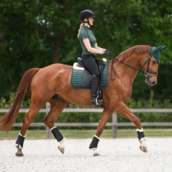 Oornetje QHP Astana Donkergroen -Ruiter Hoek Verkoopwinkel oornetje qhp astana donkergroen 1500x1500 159256